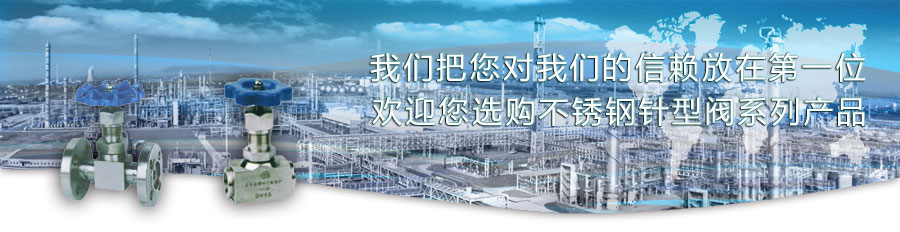 不锈钢针型阀