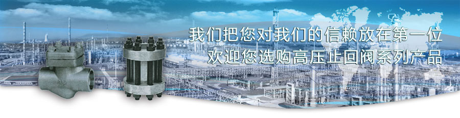 高压止回阀