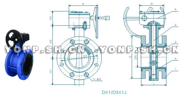 D41/D341J全衬胶法兰蝶阀外形尺寸图