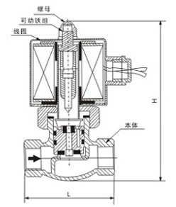 2L活塞式蒸汽电磁阀内部结构外形示意图