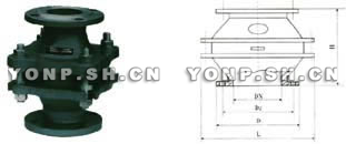 HX8型带接管吸入阀 DN50-250