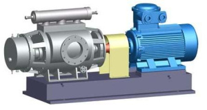 2H型双螺杆泵
