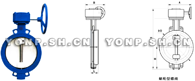 D372X蜗轮软密封蝶阀外形尺寸图