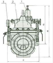 200X 减压阀外形尺寸图1