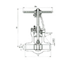  Z60Y/Z60YP54型 电站用对焊楔式闸阀结构图