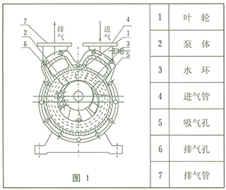 SZ系列水环式真空泵结构图1