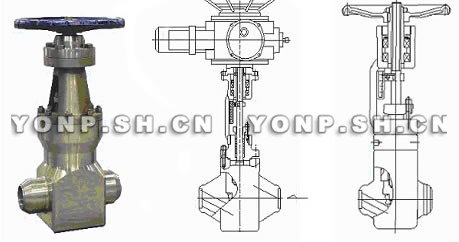 SJ61Y-P55195V手动主蒸气疏水阀