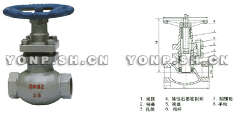 U11SM-16/25/40C/P内螺纹柱塞阀结构图
